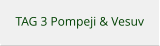 TAG 3 Pompeji & Vesuv